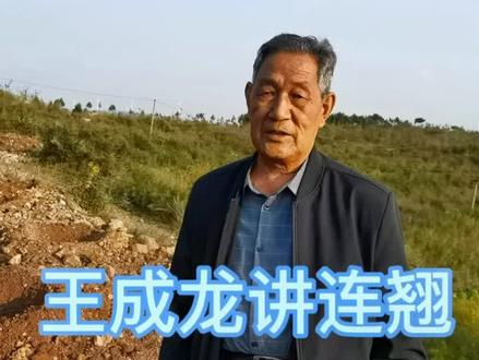 连翘秋后种植,掌握技术要领很关键,视频有点长,但每一步都不可少。欢迎关注点赞加收藏。#新农人计划 #振兴乡村 #王成龙老师讲连翘管理技术