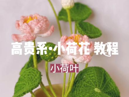 第四集:小荷叶~小荷叶的钩织方法和铜钱草一样呢,可以钩一盆铜钱草观赏。
小荷花教程来啦,喜欢的姐妹记得点赞收藏哦~
#教程 #荷花 #纯手工打造 #玩毛线 #可以订制哦