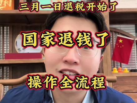 3月份退税开始了,国家给打工人发钱了,保姆级教程#干货分享 #个税退税 #个人所得税 #退税攻略 #深圳 点赞收藏,你退了多少?