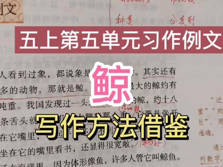 五年级上册习作例文《鲸》写作方法借鉴