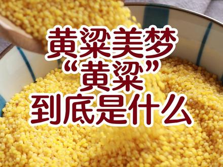 成语“黄粱美梦”里的“黄粱”到底是什么呢?很多人认为是小米。其实,它跟小米,还真不是一回事儿。#历史 #邯郸 #知识分享 @抖音创作者中心 @DOU+上热门 @DOU+小助手