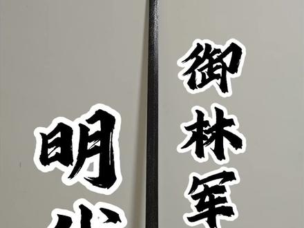 明代御林军大刀
#历史 #明朝 #冷兵器 #刀剑 #戚家刀
