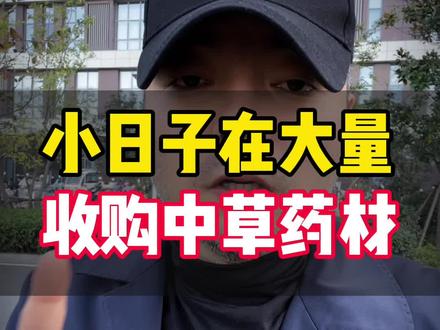 为什么小日子在大量收购中国中草药#中草药#正能量 #邦德正能量#中国中草药#中药本草