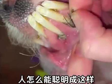 庆 养 元 葡萄 籽的确牛,木兆寳上🈶学会这几招实用生活小技巧,生活大用处#生活小妙招 #实用生活技巧 #生活小窍门 #日常分享