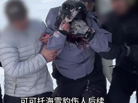 可可托海雪豹伤人后续,疑似目击者和同行的人出来发声,还原事件 #可可托海雪豹咬人 #雪豹