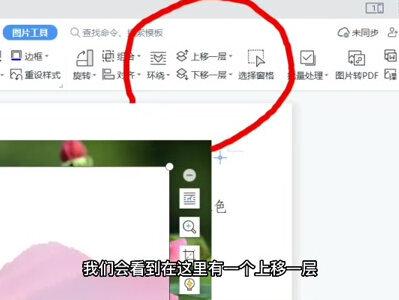 wps里面多张图片,怎样让重要的显示在最前面?这样做,随意调整 #wps #职场 #办公 #教育