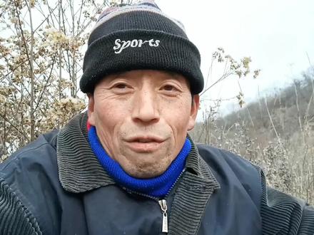 羊只误食塑料怎么办?腹胀或吃草慢的原因,养羊人经验分享#放羊人 #养羊