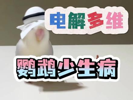 常备电解多维,家里鸟宝少生病#鹦鹉 #鹦鹉鹦鹉萌萌哒逗鹦鹉 #鹦鹉日常 #鸟类 #养鸟经验分享