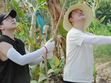 #向往的生活 莫慌,都第四季了,真的没啥重活要干的了📷你们说是不是?