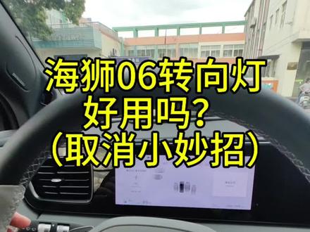 海狮06转向灯你觉得好用吗? 转向灯取消小妙招#比亚迪 #海狮06 #海洋网#比亚迪海洋聚浪汇 #闪充时代告别等待