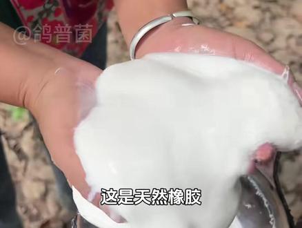酷似果冻一样的美食,你吃过几种? #科普知识 #橡胶