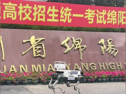 上科技!“绵阳造”机器狗亮相2024年高考现场。