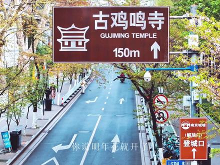 鸡鸣寺的樱花开了 你说明年花就开了,但是古人也说过,君看今日树头花,不是去年枝上朵,明年是明年的春天,明年是明年的花,今年的花永远不会再回来了。
#南京 #旅行推荐官 #古鸡鸣寺 #鸡鸣寺的樱花开了 #鸡鸣寺樱花大道 @南京文旅 @南京发布 @抖音小助手 @DOU+小助手