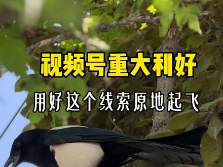 搞定这个功能,线索原地起飞 视频号重大改版,搞定这个线索直接起飞#视频号 #汽车直播