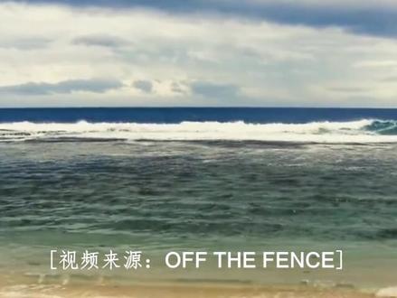 或许在这个世界里,很多人都和Alice一样,都在寻找一个特别的、和自己在同一频率的同伴。哪怕,这将是一个漫长的旅程。据说2010年发现了一头同频率的鲸鱼,但那时候爱丽丝已经不在了……