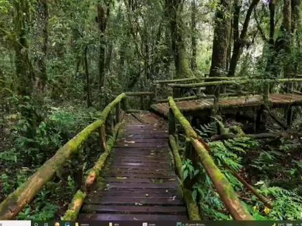 python用pyinstaller打包有pandas的程序,报错处理 #程序代码 #Python #pandas