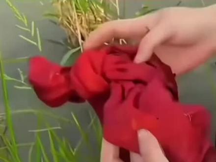 2026年第一刀,格林狼王#李微漪和格林的故事