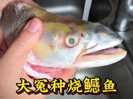 干烧鳡鱼肉质紧实鲜香 说它是淡水鱼的天花板是不是有呃呃#我的厨房日记 #今日晚餐