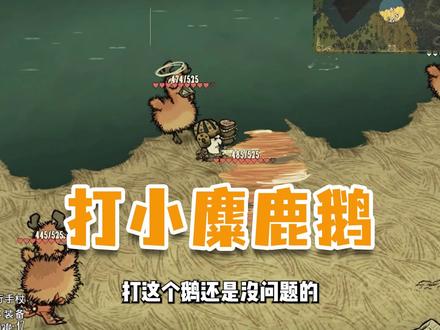《饥荒》打小麋鹿鹅 需要一点技巧和时间 #饥荒联机版