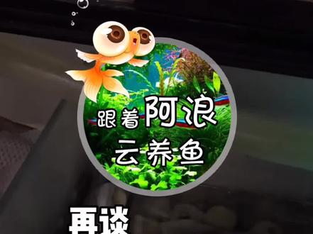 #蛋白棉 #蛋白棉危害 #蛋白棉能不能用