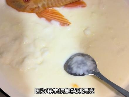 双皮奶我只吃清道夫口味的#清道夫 #双皮奶 #寒假 #美食制作 #妈呀太香了