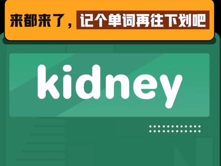 kidney是什么意思呢?
#考研单词 #24考研 #考研英语 #单词速记