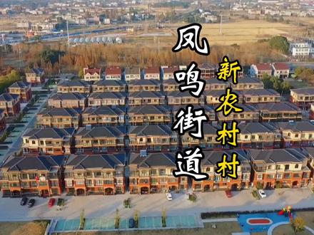 桐乡凤鸣街道,新农村村位于凤鸣街道中南部,东邻经济开发区,高桥街道,南傍崇福镇,距街道办事处相距3公里,北依长山河。地处杭嘉湖平原#桐乡#航拍最美家乡#家乡