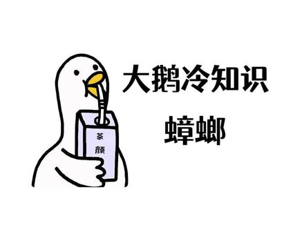 一招消灭家里的蟑螂,老得劲儿了!#冷知识 #蟑螂