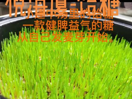 小建中汤里的饴糖
一款健脾益气的糖--从自己发麦芽开始。2023甜甜的开始。#传承中医文化 #纯天然无添加 #倪海厦老师讲中医 #麦芽糖制作 #小建中汤
