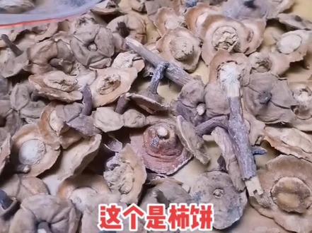 有人没有知道这个偏方,柿饼吃后柿饼疙瘩记得留下来,这个疙瘩啊专治打嗝,据民间的文献报道,柿子蒂头能够促进胃肠蠕动。临床上用柿子蒂煮开水喝,有可能能制止打嗝。
柿子蒂治打嗝,在中医里面还是有很长的历史的。柿子蒂味苦降泄,专入胃经,降胃气而止打嗝,但是临床上患者如果要应用,最好找中医医生进行指导下应用,尤其不能一次用太多。#柿蹄
