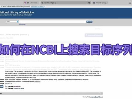 ✨中科院博士的科研日常!
本期主题:引物设计之如何在NCBI上搜索目标序列
💡关注小术!学习更多知识!
#科研 #干货分享 #引物设计 #生物实验室 #科研工具