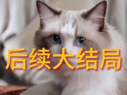 饥荒年锦鲤萌宝靠兽语带飞全家 灾荒年锦鲤萌娃进城后续
锦鲤奶团带飞全家回周家后续
锦鲤萌宝靠兽语带飞全家
猎人王饥荒年顿顿白馒头加肉
萌宝靠兽语解饥荒狼
饥荒年锦鲤萌宝
荒年粮王我开空间养全家
萌宝猎兽解饥荒短剧
萌宝靠兽语带飞全家
锦鲤萌宝靠兽语带飞全家狼王
饥荒年锦鲤萌宝靠兽语带飞全家
锦鲤奶团带飞全家短剧
锦鲤萌宝找狼狼王崽
饥荒年萌宝靠兽语带飞全族
锦鲤萌宝带全家飞
锦鲤萌宝大闹督军府
小乖宝能听兽语捡个帅爸做团宠
锦鲤萌宝救督军
饥荒年萌宝救狼王
锦鲤萌宝救全家
锦鲤奶团带飞全家#饥荒年锦鲤萌宝靠兽语带飞全家#饥荒年锦鲤萌宝靠兽语带飞全家短剧#星图短剧千万流量支持#百亿剧好看计划#因为一个片段看了整部剧