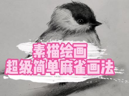 超级简单的麻雀画法,你仔细观察过麻雀吗?#手绘 #画画 #素描 @抖音小助手