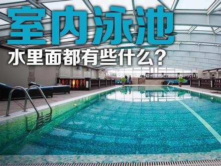 室内泳池水里面都有些什么?