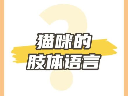 猫咪的肢体语言你知道哪些?#萌宠出道计划 #抖in萌宠计划 #神奇动物在抖音