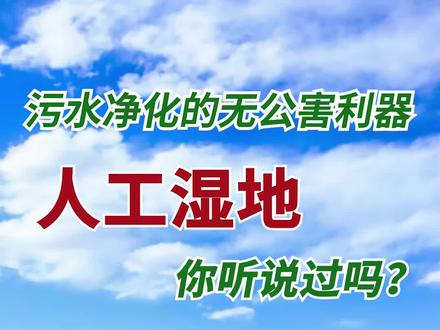 #人工湿地是什么?我们为什么要建立人工湿地呢?它在#环保 工作中能够起到什么作用?#科普 #生态环境 @企业号小助手