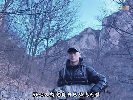 好心人都觉得自己功德无量,没想到是给豆豆猫累得够呛 #猫咪 #豆豆 #绝望坡