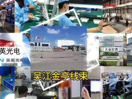 一天一个苏州工厂之金亭线束