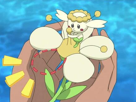 帮助白色花蓓蓓#宝可梦精灵 #抖音带你看动漫 #怀旧动画 #视频剪辑