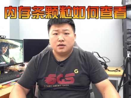 你的内存颗粒是什么品牌的?