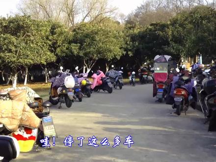 镇江南山绿道:一个能净化人的身、心、灵的健身步道