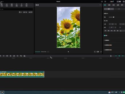 高级去重方法,画面改色+局部闪白 #视频去重 #二创剪辑