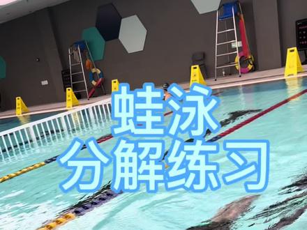 蛙泳分解练习 如果你的蛙泳不协调,不流畅,那就看看这些分解都做对了吗#分享你的蛙泳技巧 #创作者中心 #创作灵感 #蛙泳教学#游泳动作训练