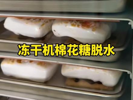 冻干机把棉花糖脱水处理后体积竟然膨胀这么多 #冻干机 #冻干糖果 #解压