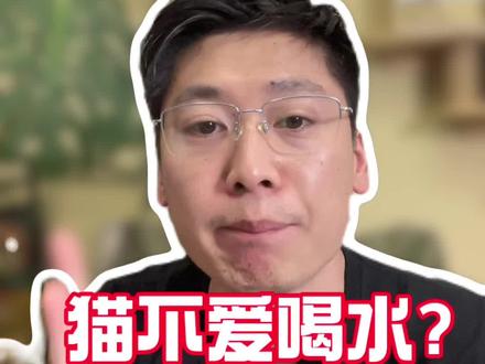 夏天怎么能让猫多喝水 #新手养猫 #养猫经验分享 #科学养宠攻略 #如何让猫咪爱喝水