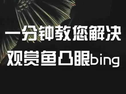 凸眼了,来来来,火人1分钟教您如何解决。#观赏鱼 #养鱼日记
