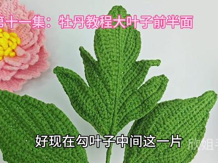 第十一集:牡丹花钩织教程之大叶子左半边#钩织教程 #手工 #牡丹 #爱钩织爱生活 #叶子