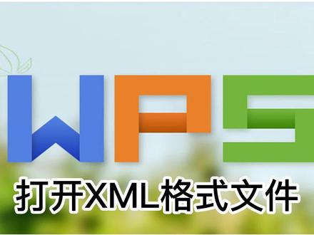利用WPS打开XML文件 #电脑技巧 #电脑知识 #电脑 #知识分享 #简单电脑知识 #WPS