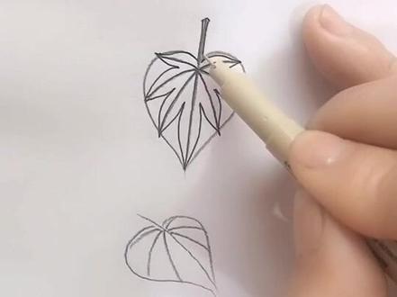 教你简单画枫叶。看懂了形状,一画就会。😘@抖音小助手 #日常教画