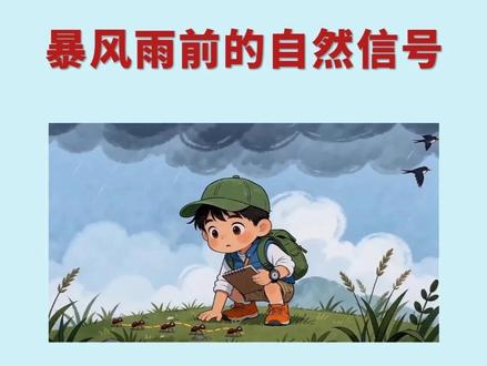 三下语文《暴风雨来临之前》课后拓展——暴风雨前的自然信号。 #三年级语文下册 #三下语文 #自然科普 #小学语文 #暴风雨来临的前奏